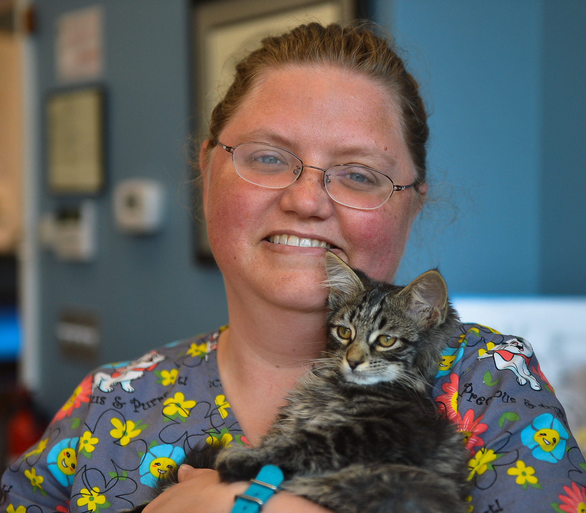 Kittens at the Clinic! Just Cats Clinic