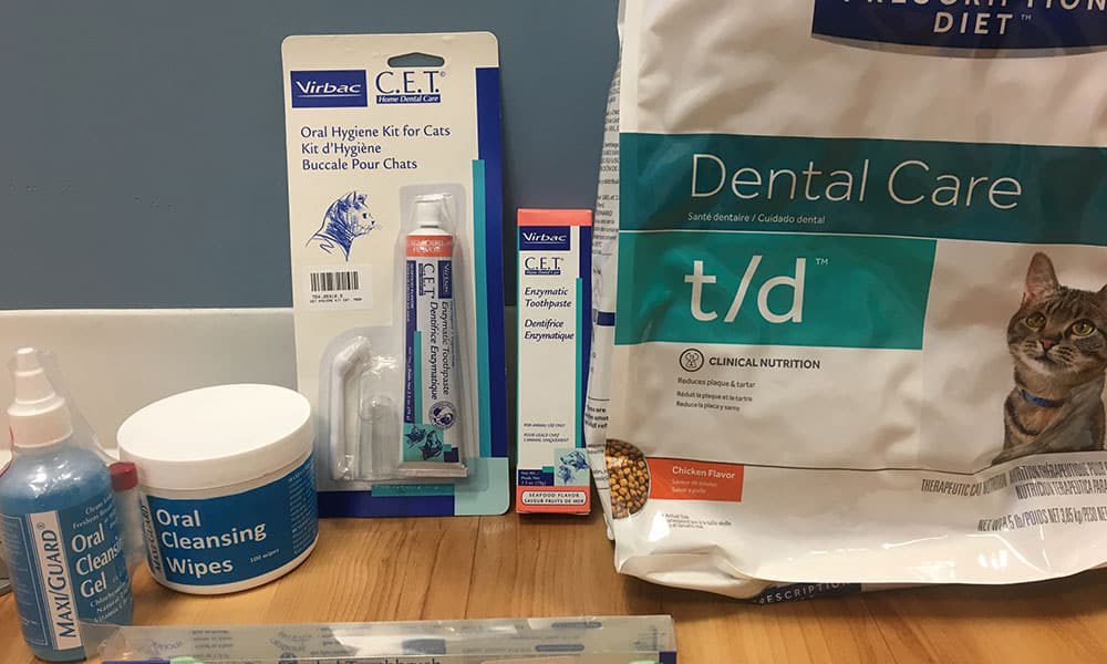 Dental Disease: It’s Not Just Stinky Cat Breath!