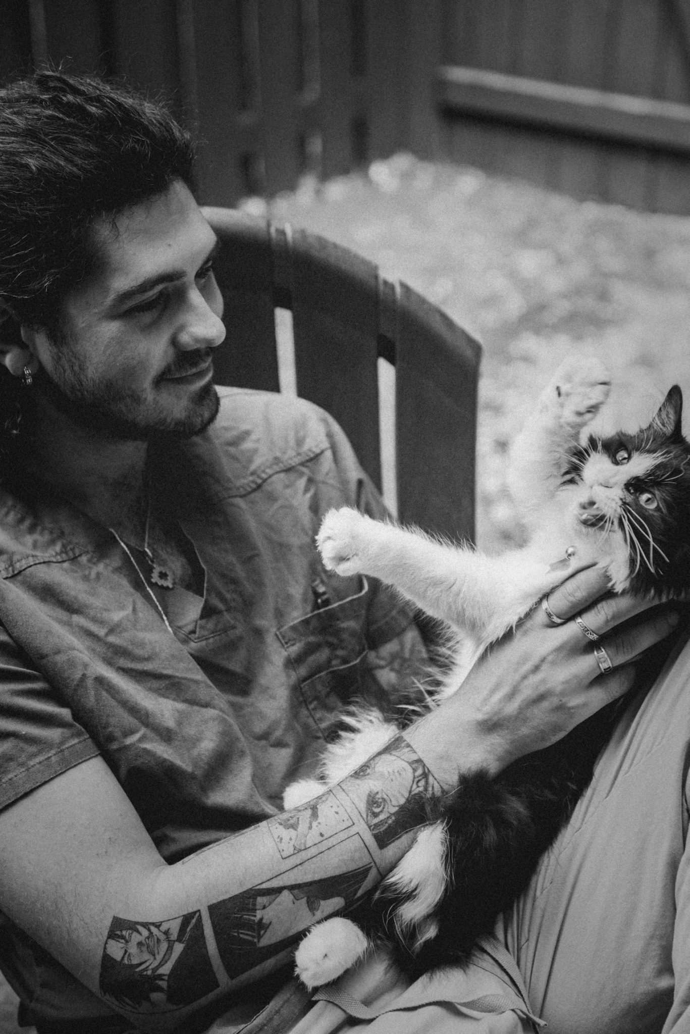 A relaxed cat gazing calmly with soft eyes