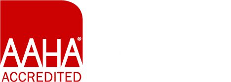 AAHA Accredited Logo