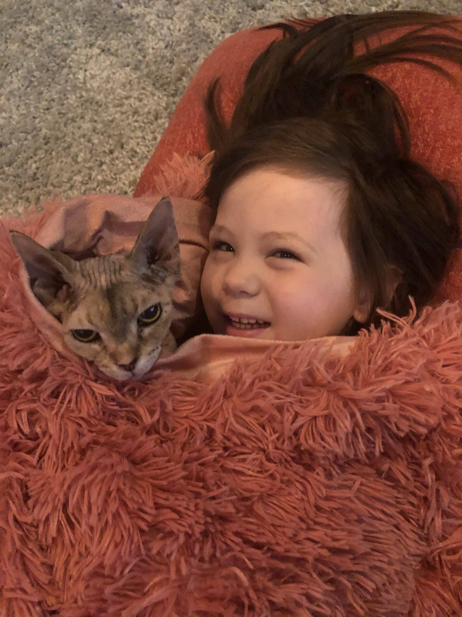 5 Ways to Show Your Cat the Love